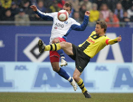 稳定因素 稳定因素